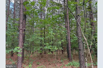 Bell Road (Tract: Moore North), Dillwyn, VA 23936 - Photo 10
