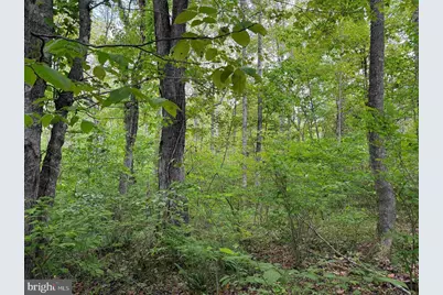 Bell Road (Tract: Moore North), Dillwyn, VA 23936 - Photo 16