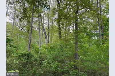 Bell Road (Tract: Moore North), Dillwyn, VA 23936 - Photo 14