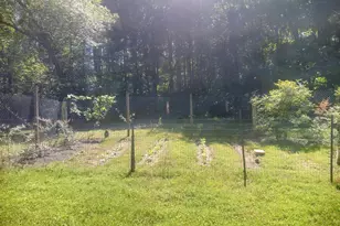 316 Coles Creek Ln, New Canton, VA 23123 - Photo 28