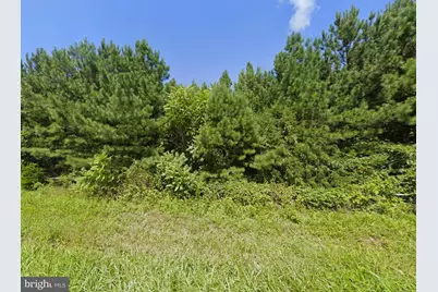 0 West Saxkey Road, Saxe, VA 23967 - Photo 6