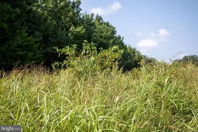 Tbd Trents Cemetery Road #LOT 3, Phenix, VA 23959 - Photo 20
