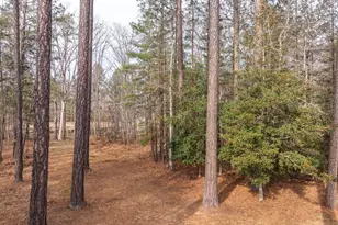 4143 Waterswatch Dr, Midlothian, VA 23113 - Photo 48