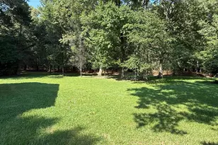 304 Thornhill Dr, Chester, VA 23836 - Photo 34