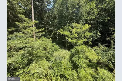 3455 Ivyridge Drive, Chester, VA 23831 - Photo 36