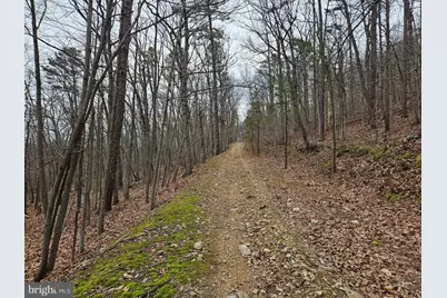 Chapman Lane, Boyce, VA 22620 - Photo 2