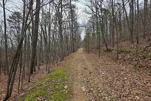 Chapman Ln, Boyce, VA 22620 - Photo 2