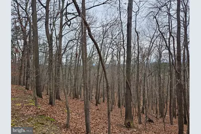 Chapman Lane, Boyce, VA 22620 - Photo 6