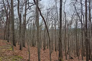 Chapman Ln, Boyce, VA 22620 - Photo 6