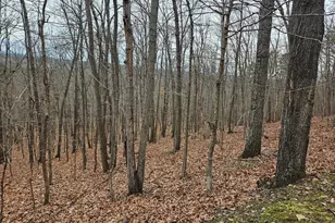 Chapman Ln, Boyce, VA 22620 - Photo 4