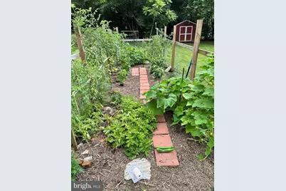 10843 Harry Byrd Highway, Berryville, VA 22611 - Photo 40