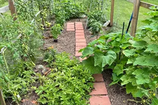 10843 Harry Byrd Hwy, Berryville, VA 22611 - Photo 40