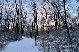 1230 Chilly Hollow Rd, Berryville, VA 22611 - Photo 54