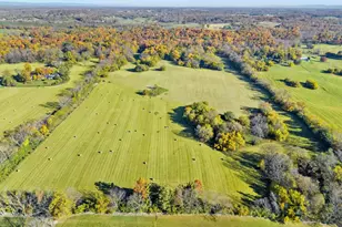 154 Clay Hill Rd, Boyce, VA 22620 - Photo 48