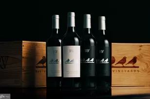 154 Clay Hill Rd, Boyce, VA 22620 - Photo 58