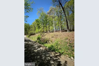 Lot 121 Timber Ln, Bluemont, VA 20135 - Photo 4