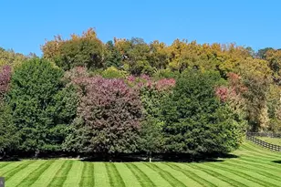 1527 Shenandoah River Ln, Boyce, VA 22620 - Photo 62