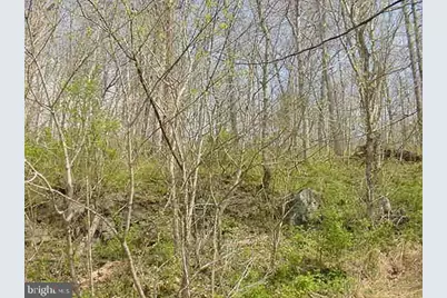 2465 Lockes Mill Rd, Berryville, VA 22611 - Photo 30