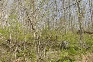 2465 Locke's Mill Rd, Berryville, VA 22611 - Photo 30