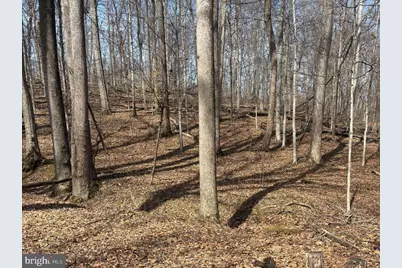 3009 Calmes Neck Lane Lane, Boyce, VA 22620 - Photo 4