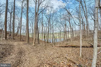 84 Cardinal Lane, Boyce, VA 22620 - Photo 78