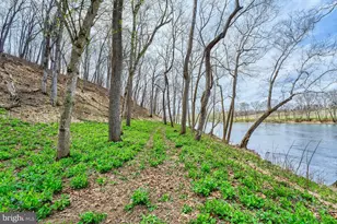 84 Cardinal Lane, Boyce, VA 22620 - Photo 74