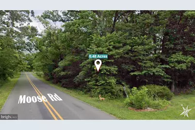 Moose Road, Berryville, VA 22611 - Photo 4