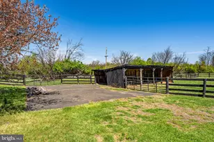 871 Old Chapel Rd, Boyce, VA 22620 - Photo 82