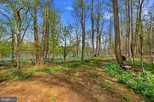3784 Calmes Neck Ln, Boyce, VA 22620 - Photo 40