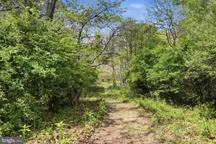 4001 Calmes Neck Ln, Boyce, VA 22620 - Photo 22