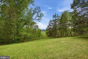 4001 Calmes Neck Ln, Boyce, VA 22620 - Photo 26