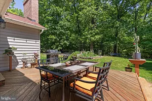 355 Duke Ln, Bluemont, VA 20135 - Photo 58