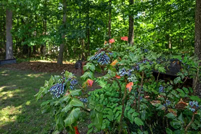 355 Duke Lane, Bluemont, VA 20135 - Photo 64