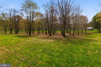 1527 Shenandoah River Lane, Boyce, VA 22620 - Photo 76