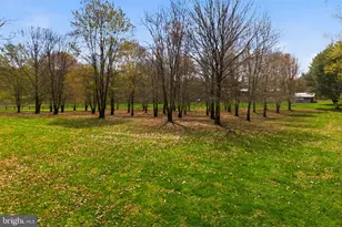 1527 Shenandoah River Ln, Boyce, VA 22620 - Photo 76