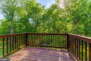872 Bench Ln, Bluemont, VA 20135 - Photo 14