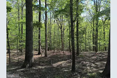 0 Beechwood Ln, Bluemont, VA 20135 - Photo 2