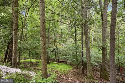 692 Laurel Lane, Bluemont, VA 20135 - Photo 44