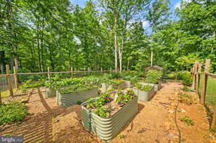 4020 Millwood Rd, Boyce, VA 22620 - Photo 90