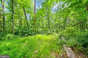 4020 Millwood Rd, Boyce, VA 22620 - Photo 102