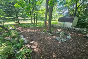1918 Senseny Rd, Berryville, VA 22611 - Photo 46