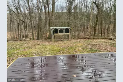228 Tadpole Lane, Bluemont, VA 20135 - Photo 12