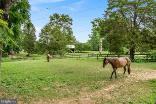 1263 Frogtown Rd, Bluemont, VA 20135 - Photo 56