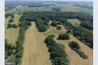 10068 Harry Byrd Highway, Berryville, VA 22611 - Photo 28
