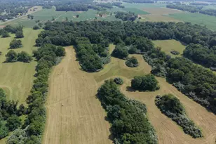 10068 Harry Byrd Hwy, Berryville, VA 22611 - Photo 28