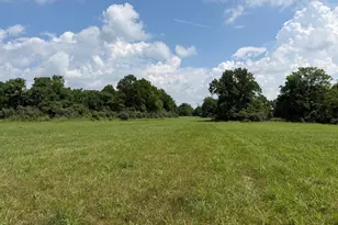 10068 Harry Byrd Hwy, Berryville, VA 22611 - Photo 52