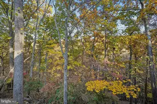 598 Timber Ln, Bluemont, VA 20135 - Photo 10