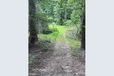 2280 Frogtown Road, Bluemont, VA 20135 - Photo 62