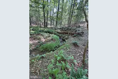 2280 Frogtown Road, Bluemont, VA 20135 - Photo 60