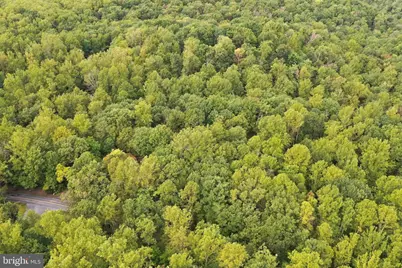 2280 Frogtown Road, Bluemont, VA 20135 - Photo 64